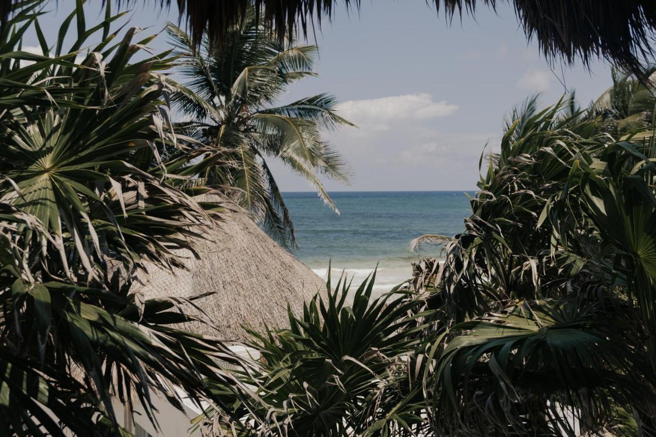 Tuup Tulum Ξενοδοχείο Εξωτερικό φωτογραφία